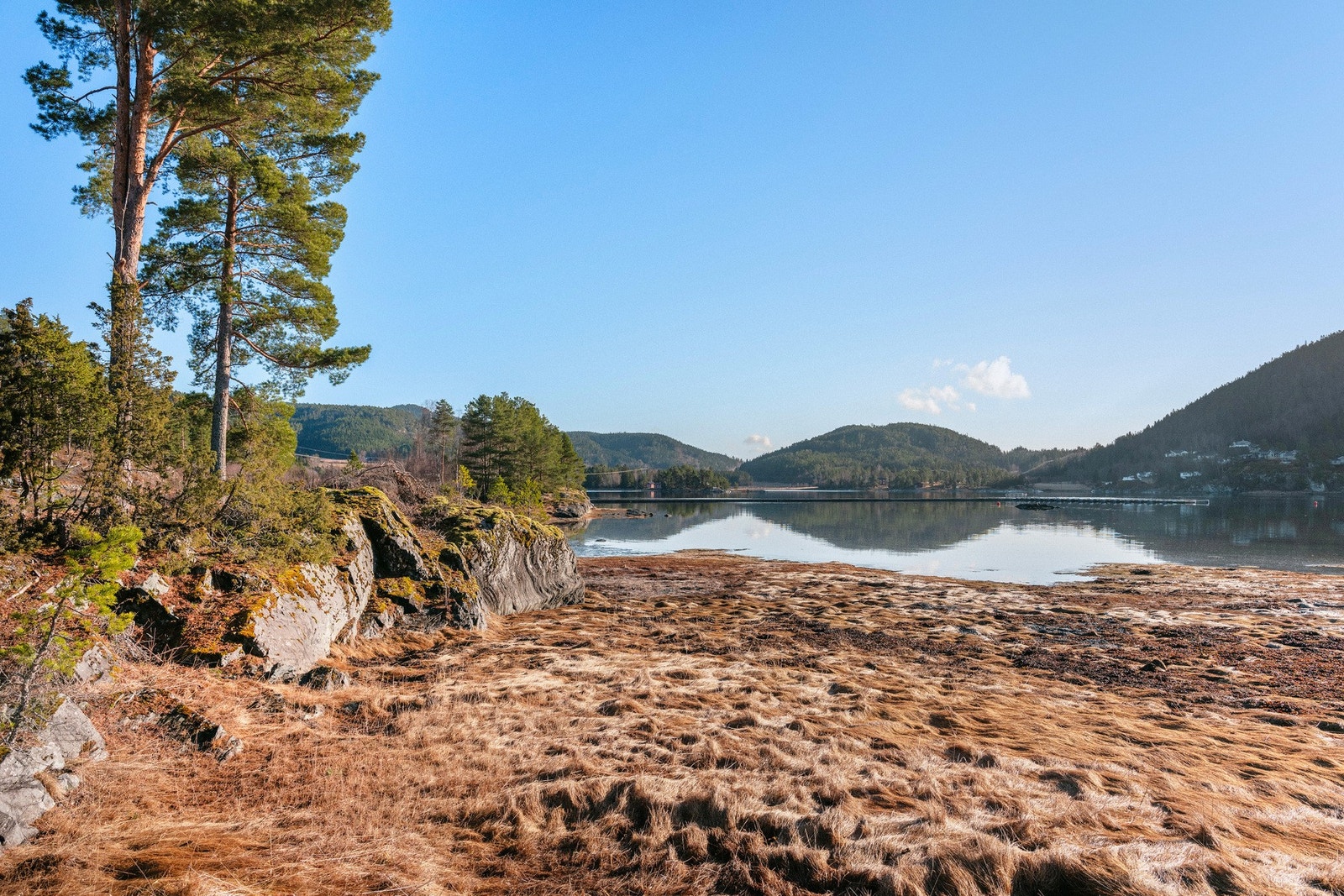 Utsikt inn mot Leangenbukta. Galleribilde