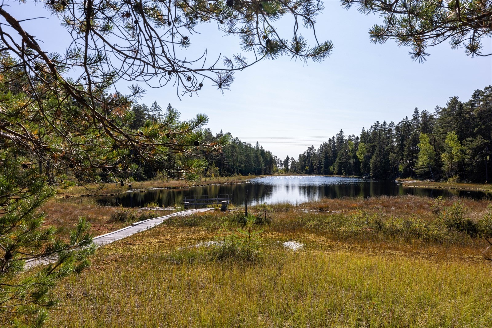Boligen ligger i umiddelbar nærhet til skog og mark i fantastiske Tæruddalen. Galleribilde