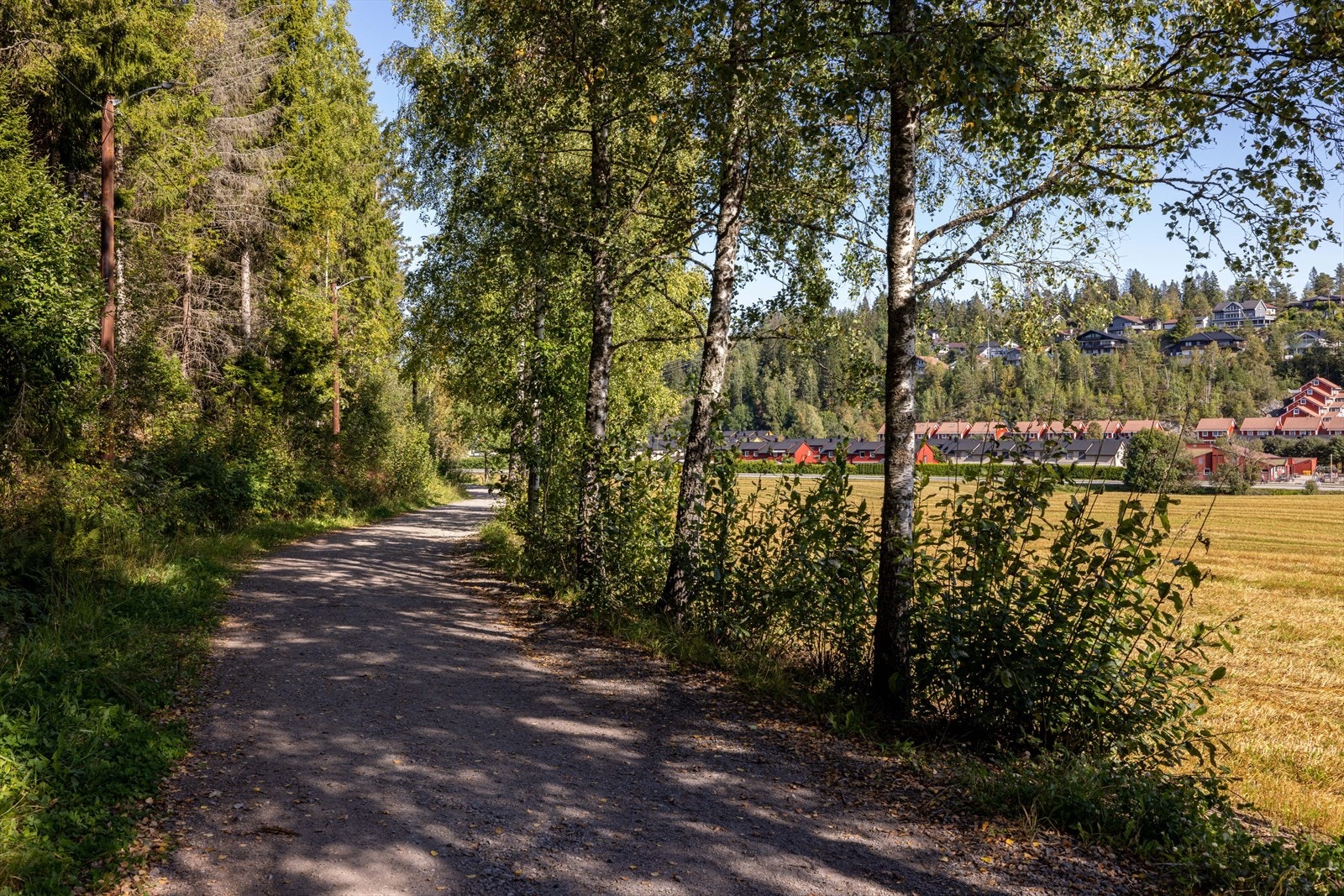 Tæruddalen er for mange innfallsport til Romeriksåsen fra syd. Herfra går det en lyssatt rundløype (4,3 km) med forbindelse videre innover i Romeriksåsen via Ringdalshytta. Galleribilde