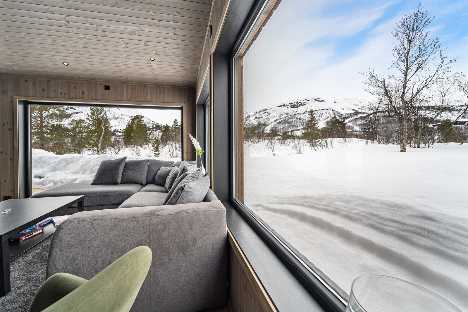 Store vindusflater i stuen for å få naturen inn. Galleribilde