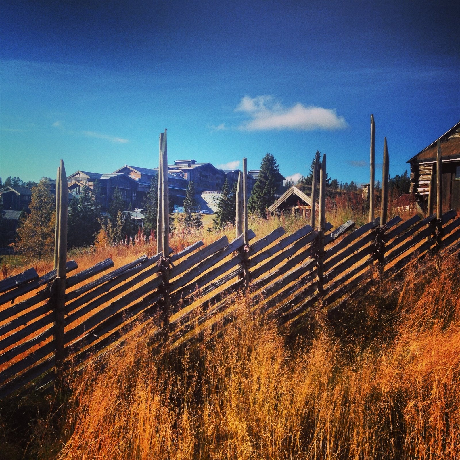 Norefjell - Høst. Galleribilde