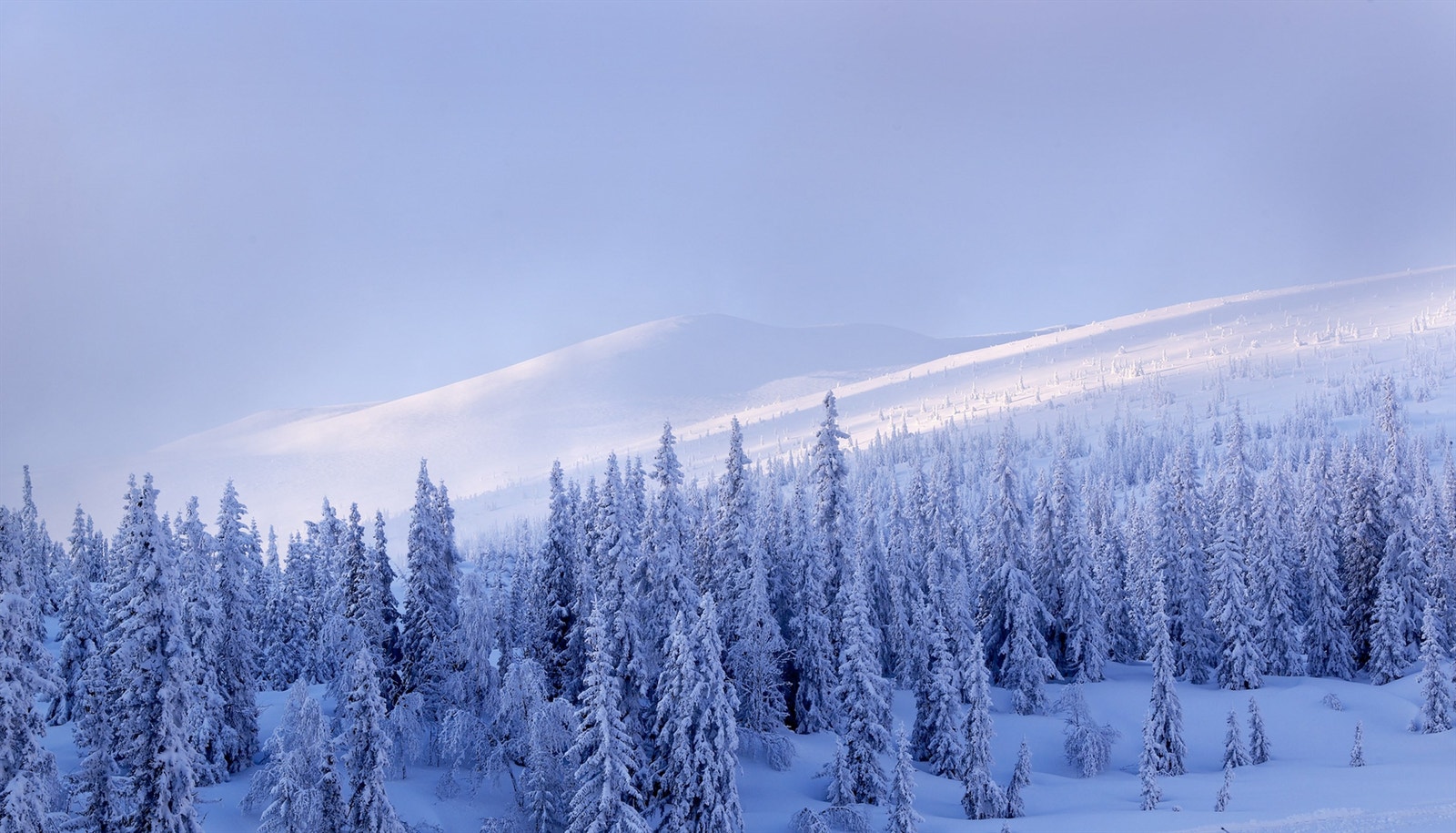 Norefjell - Ditt nærmeste høyfjell. Galleribilde