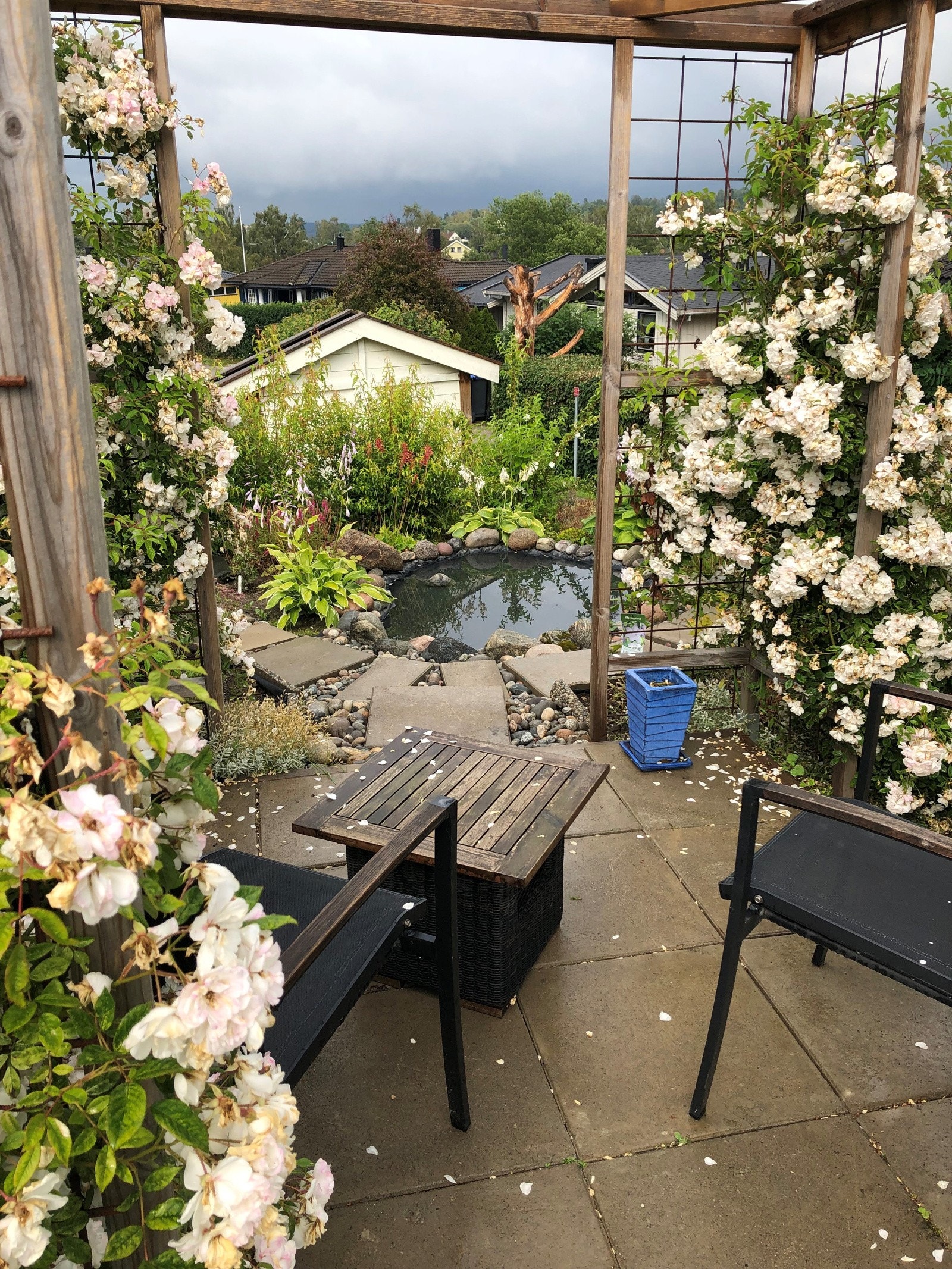 Selgers bilde av hagen i blomst Galleribilde
