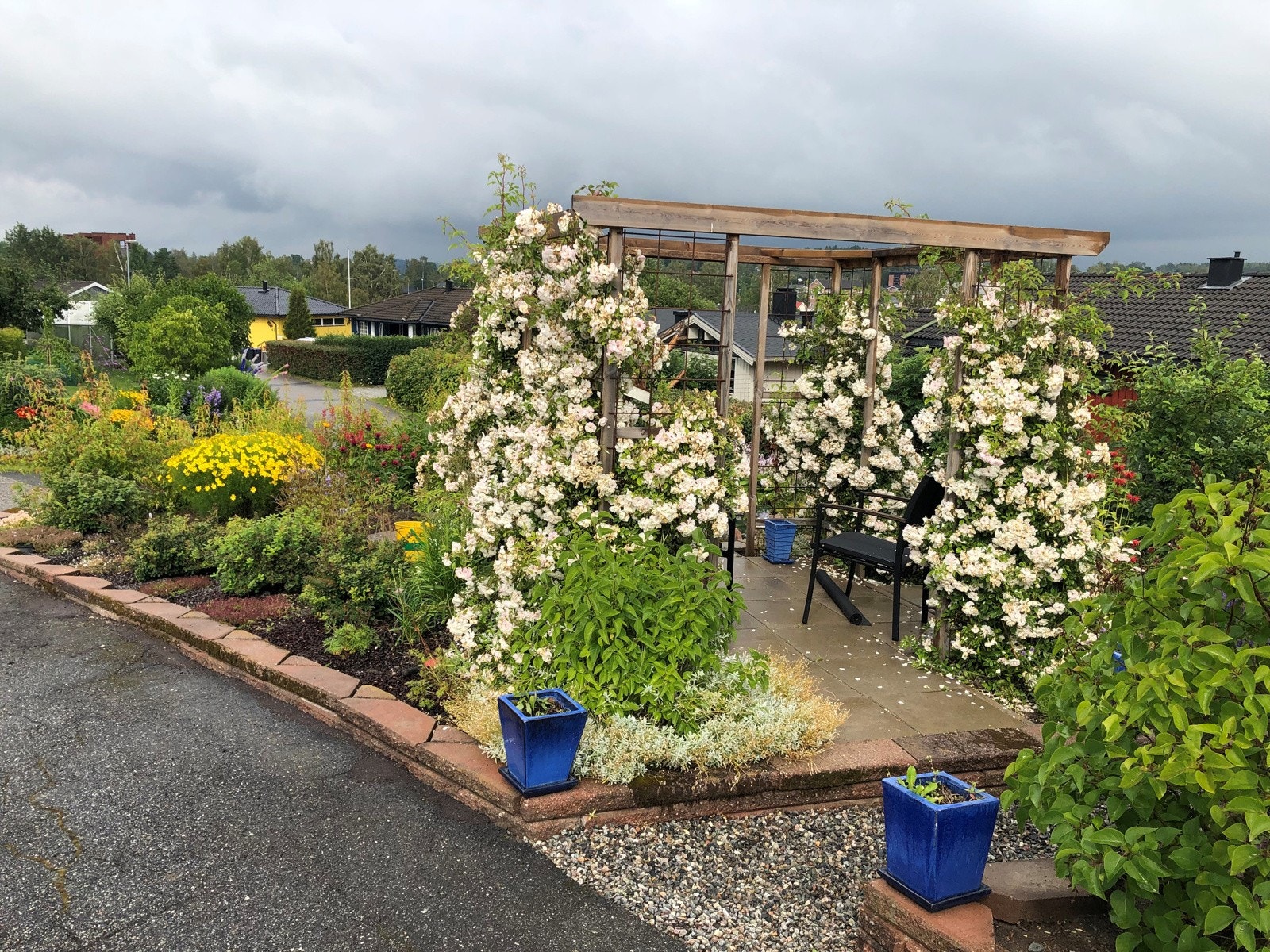 Selgers bilde av hagen i blomst Galleribilde