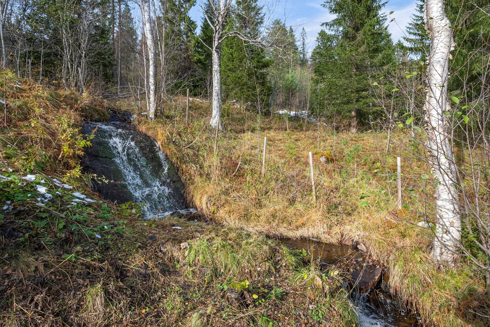 Tomten er en ren naturidyll som understrekes av en bekk som renner forbi. Galleribilde