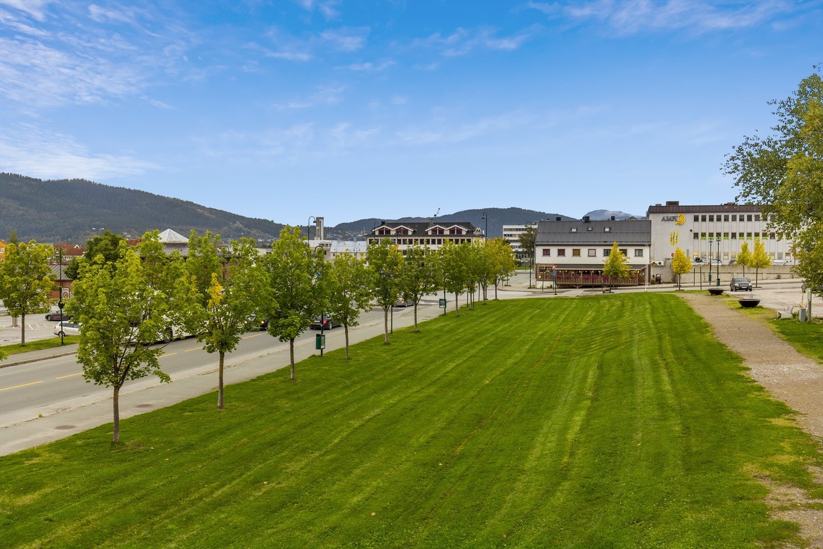 Området. Galleribilde