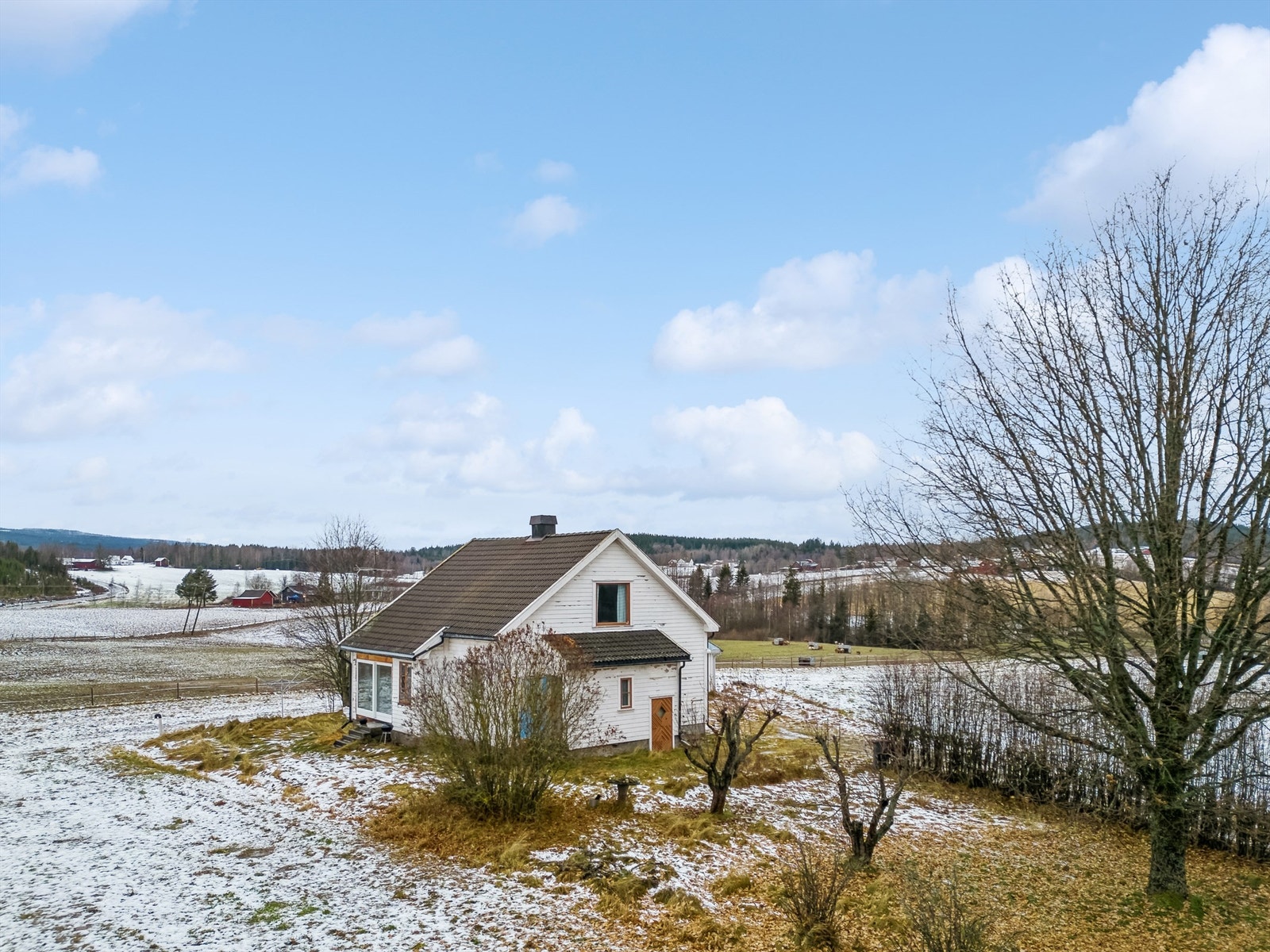 Hage med muligheter, for en med grønne fingre Galleribilde