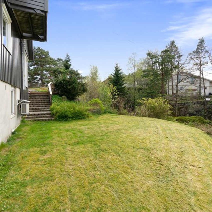 Hage med plen mot vest Galleribilde