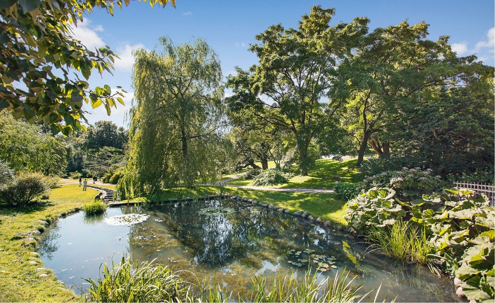 Botanisk hage er virkelig en grønn oase ideell for både løpeturer eller piknik med venner på solfylte ettermiddager. Galleribilde