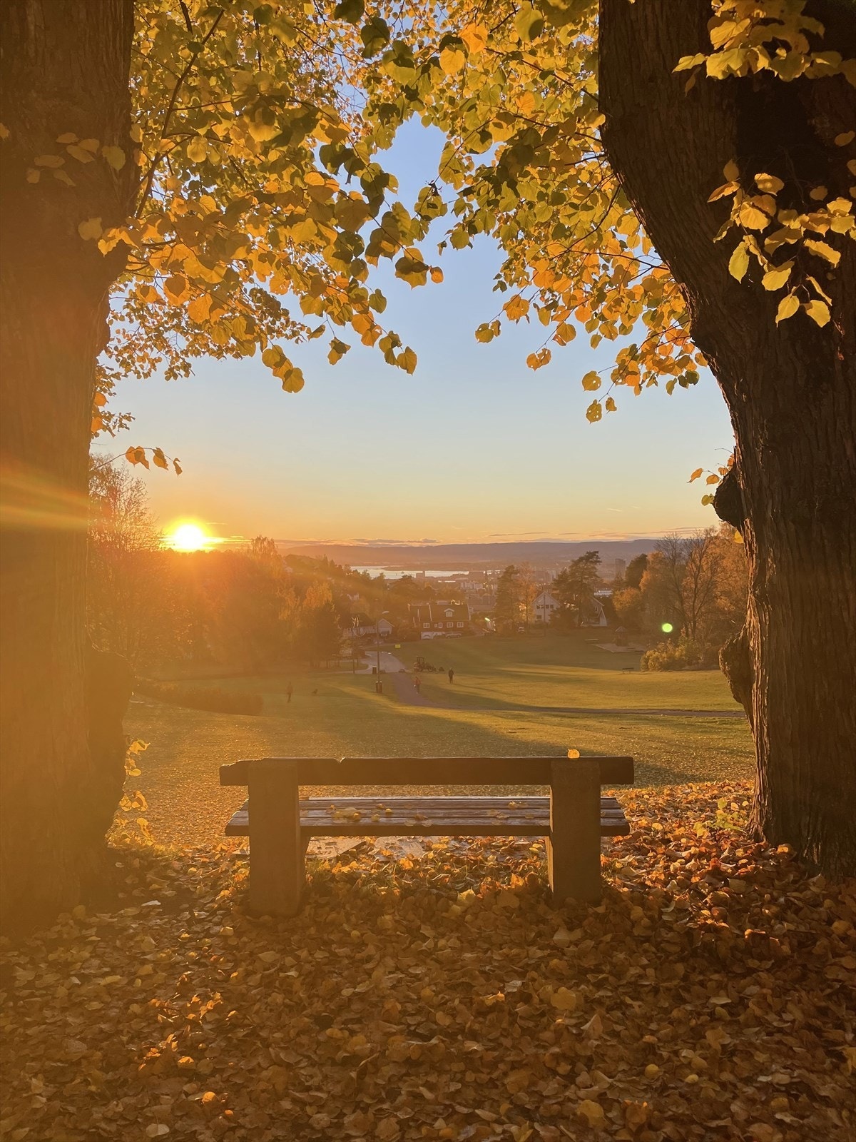 Fantastisk nærområde. Galleribilde