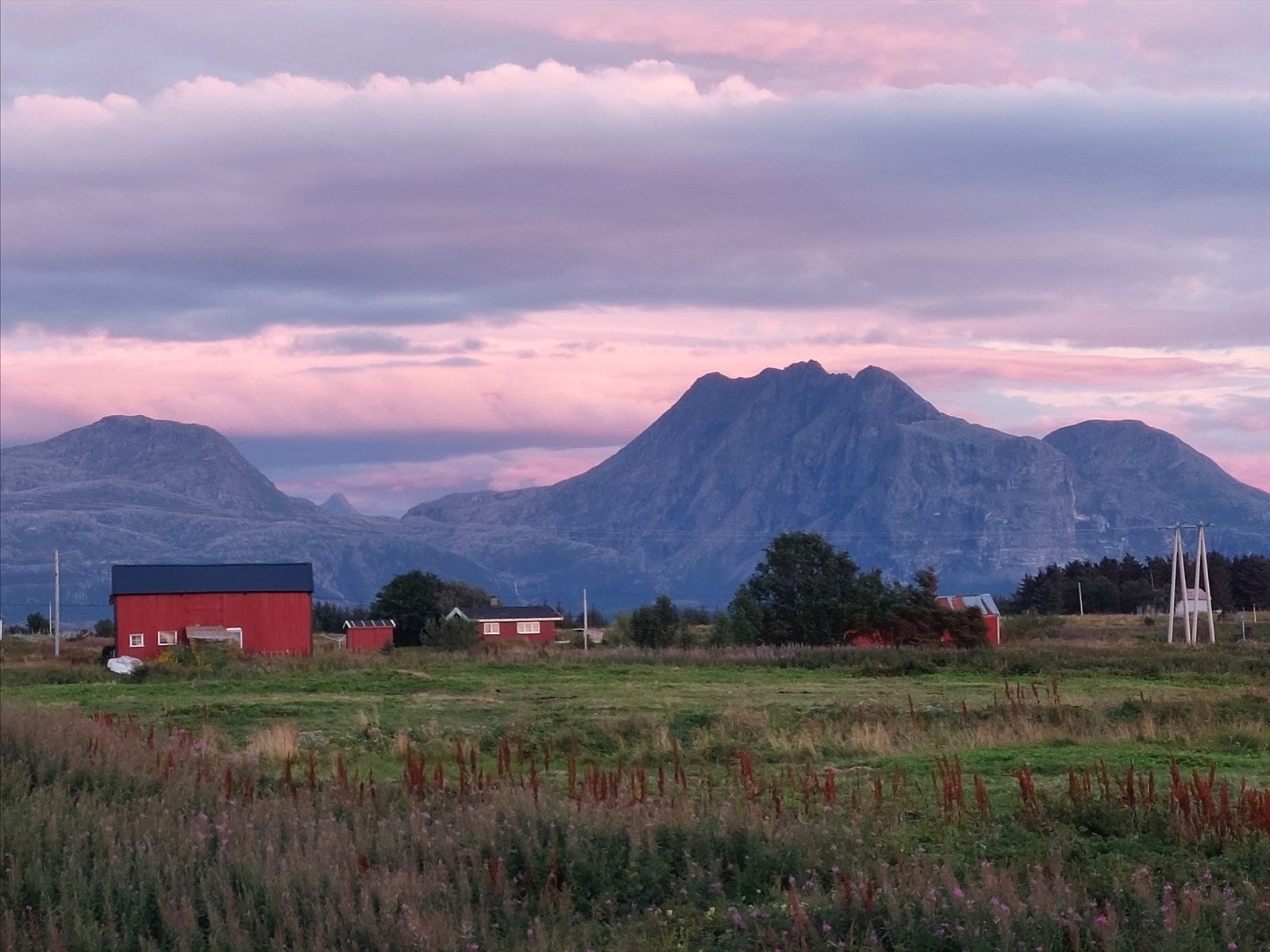 20220818_212404.jpg Galleribilde