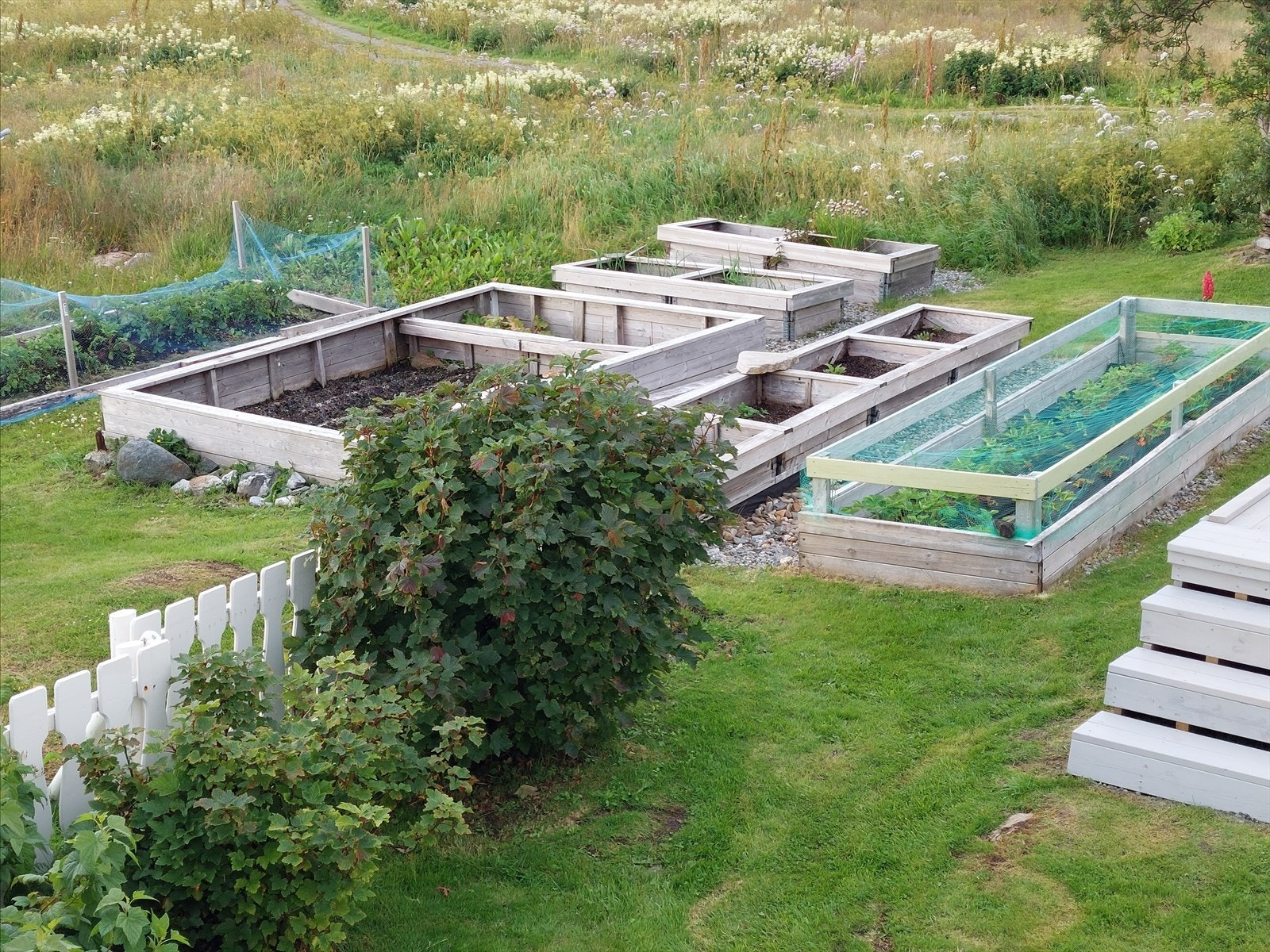 20220720_184653.jpg Galleribilde