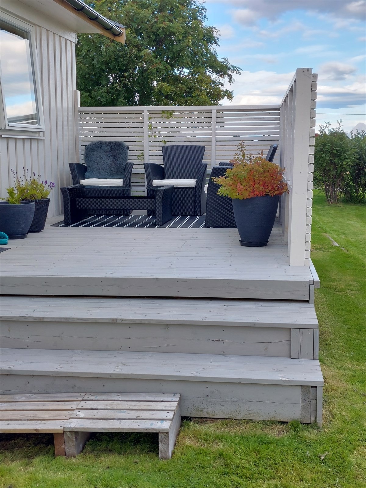 20220818_173936.jpg Galleribilde