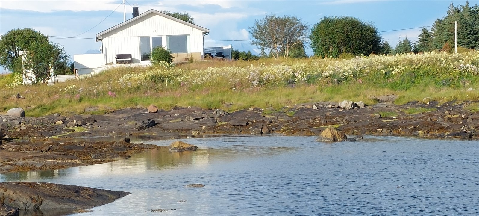 20230727_190357.jpg Galleribilde