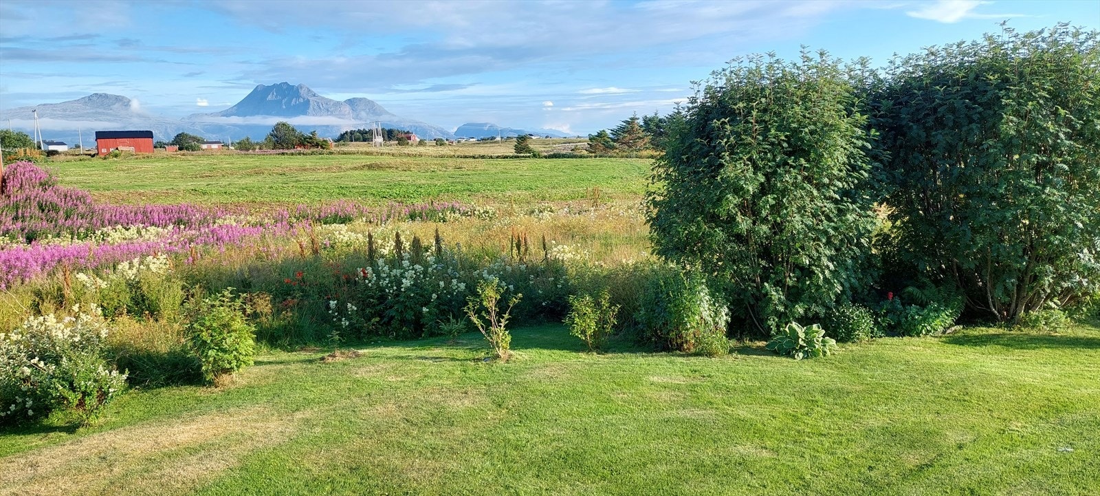 20230727_192135.jpg Galleribilde