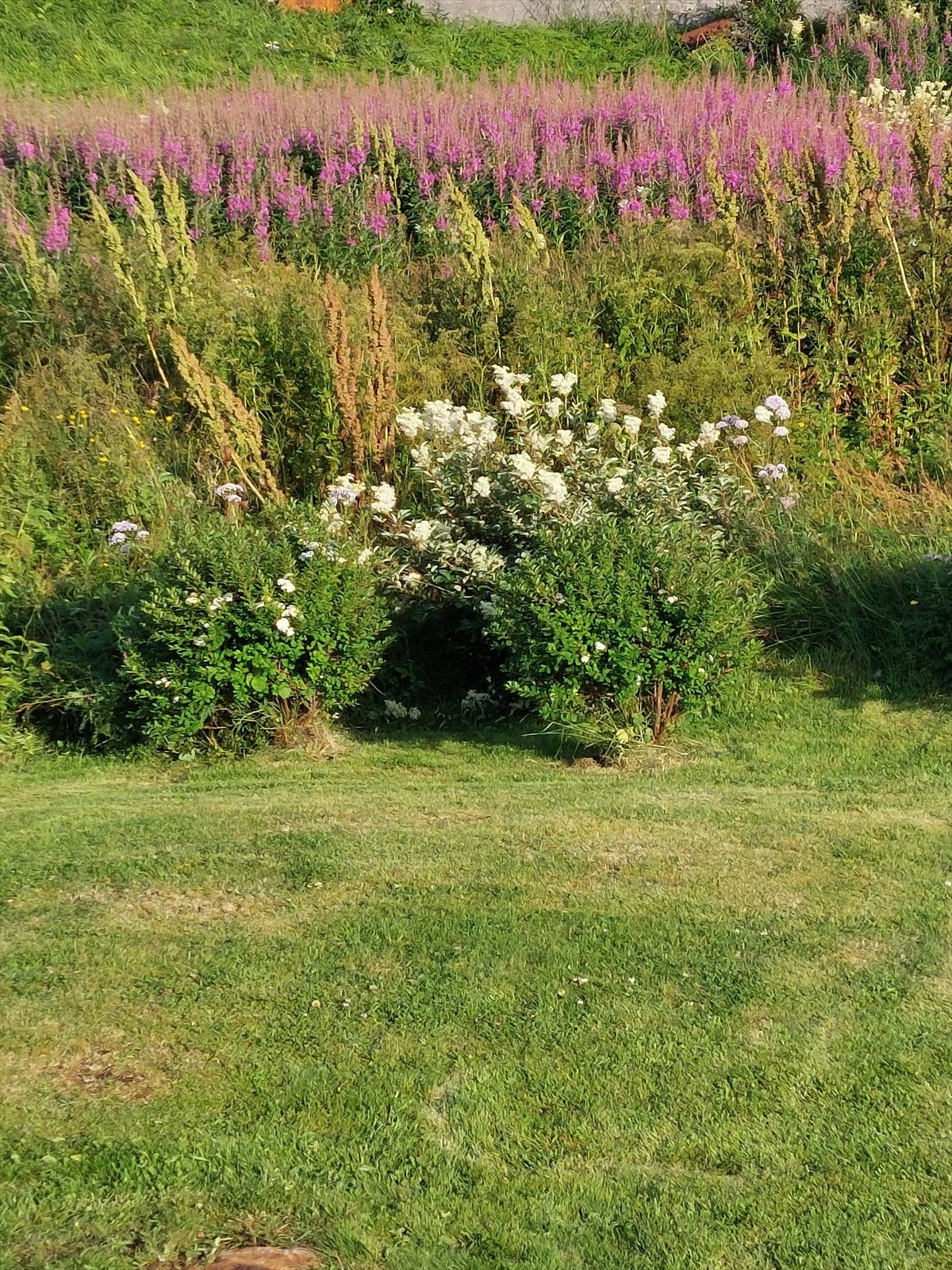 20220719_191313.jpg Galleribilde