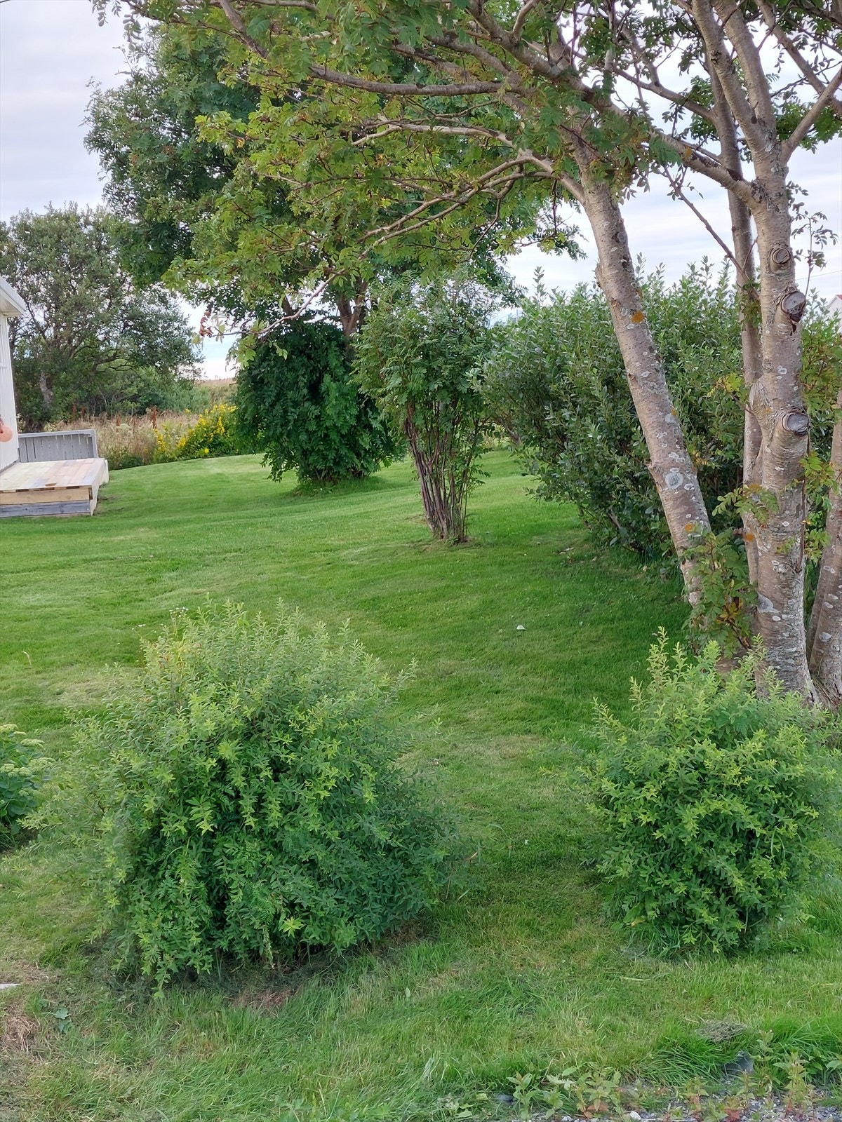 20220818_174125.jpg Galleribilde