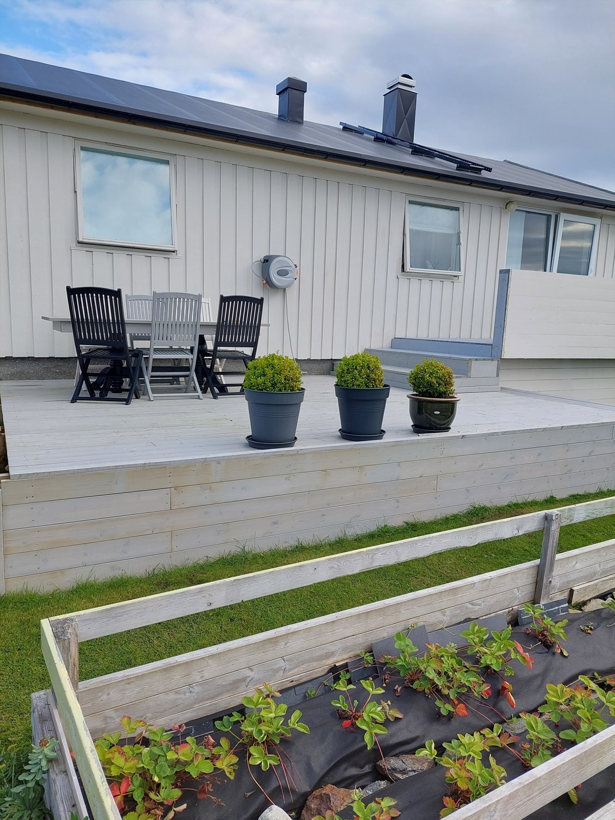 20220818_173402.jpg Galleribilde