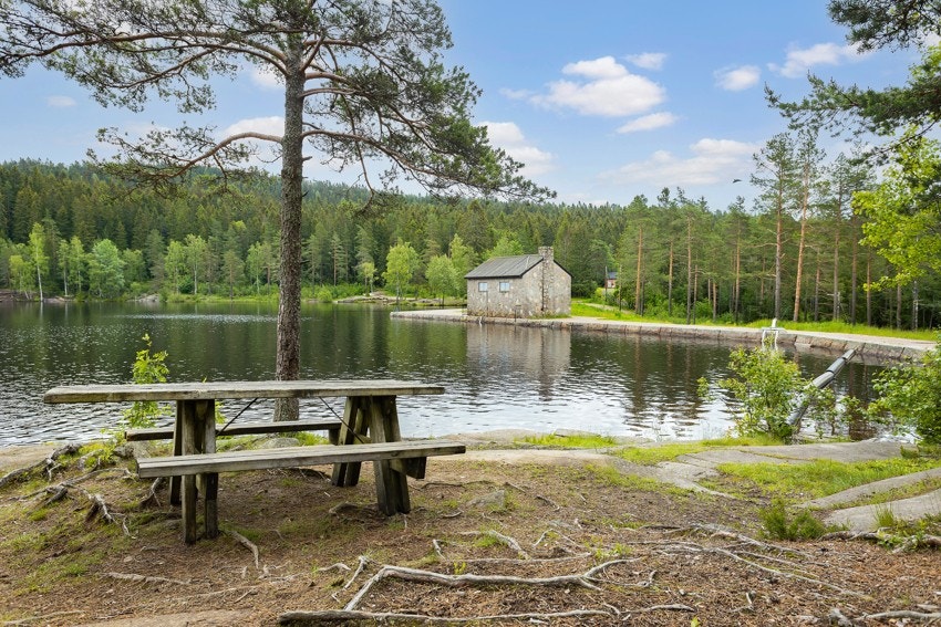 Her bor du med marka som nærmeste nabo, flotte turmuligheter sommer som vinter Galleribilde