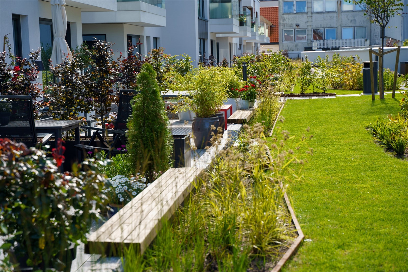 Fellesområdet er også opparbeidet med plen og pen beplantning. Galleribilde