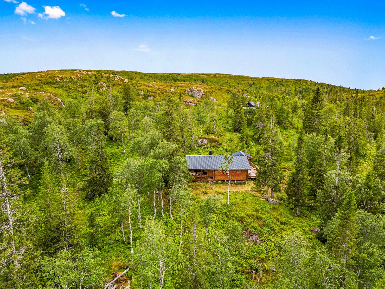 Fra hytta er det en fantastisk utsikt mot naturlandskaper, som gjør at man føler seg nær de gode naturopplevelsene. Galleribilde
