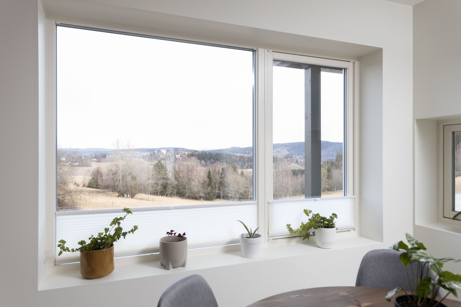 Utsikt fra spisebordet! Galleribilde