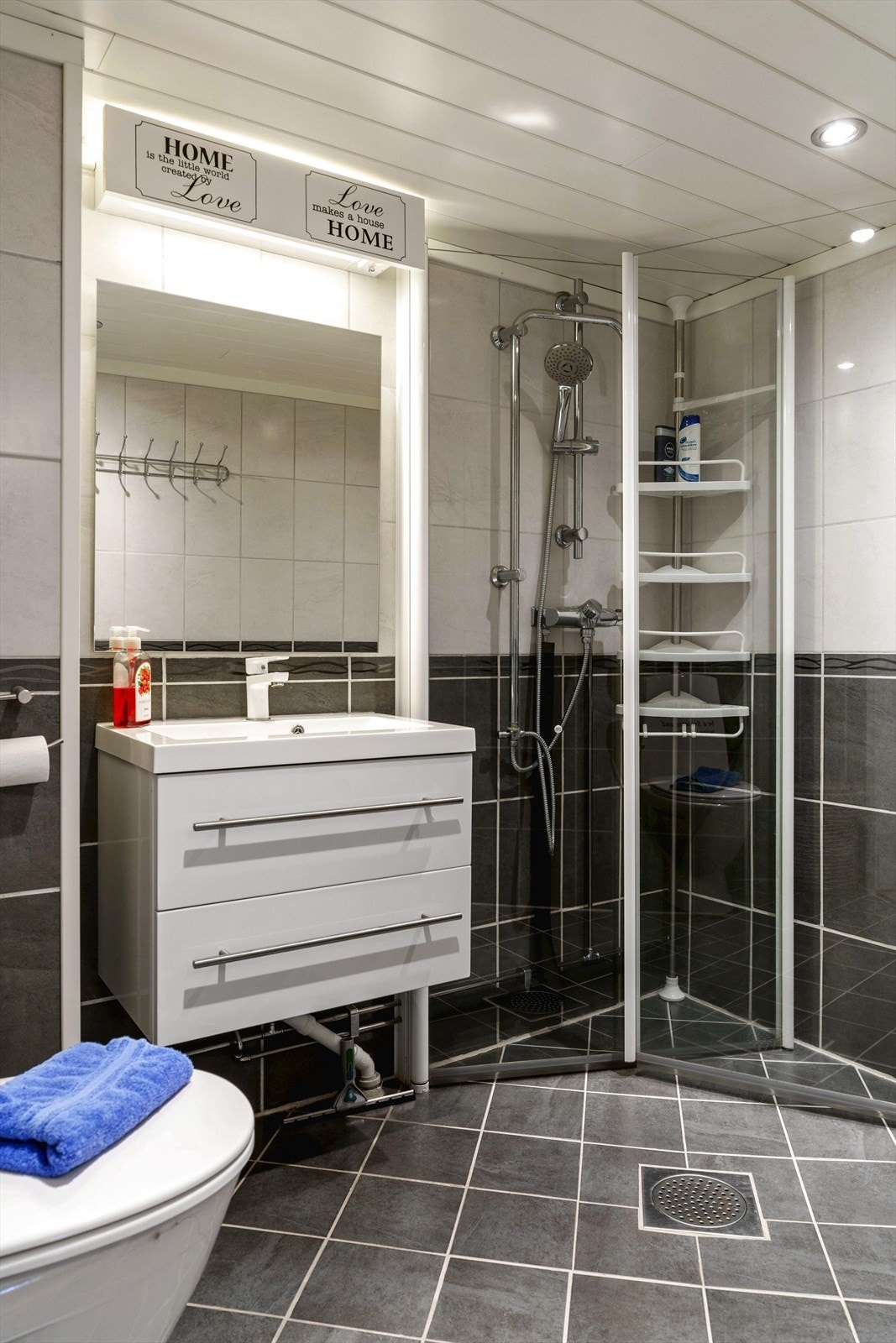 Badet i underetasjen er utstyrt med servant med skuffeseksjon, dusjhjørne og toalett. Galleribilde