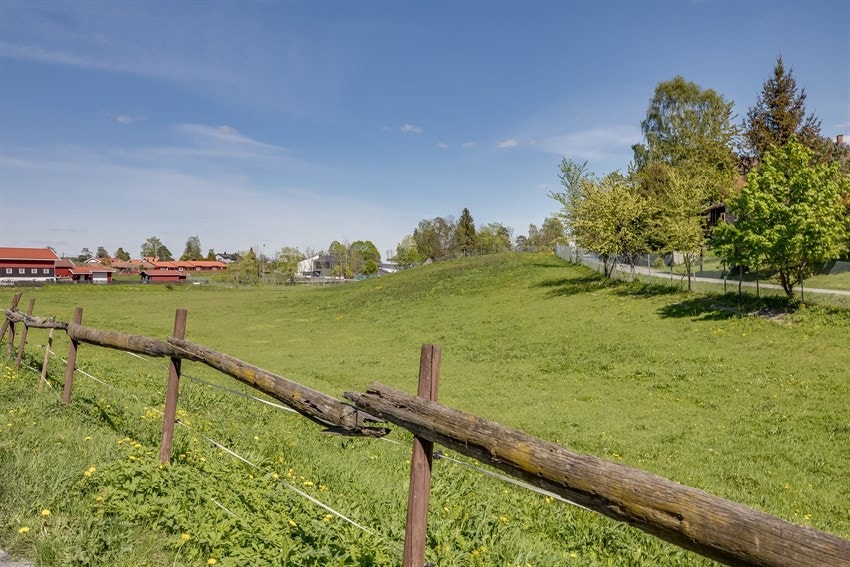 Kort vei fra boligen finner man jorde med hester på sommerstid og hyggelige turstier Galleribilde