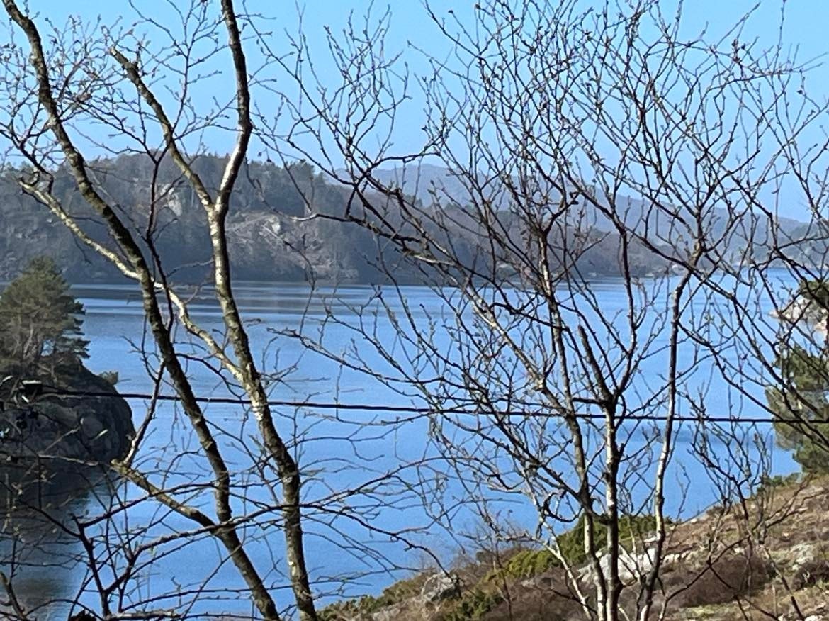 Fine turmuligheter rett ut fra hytta - her ser man sjøen - i retning mot Farsund Galleribilde