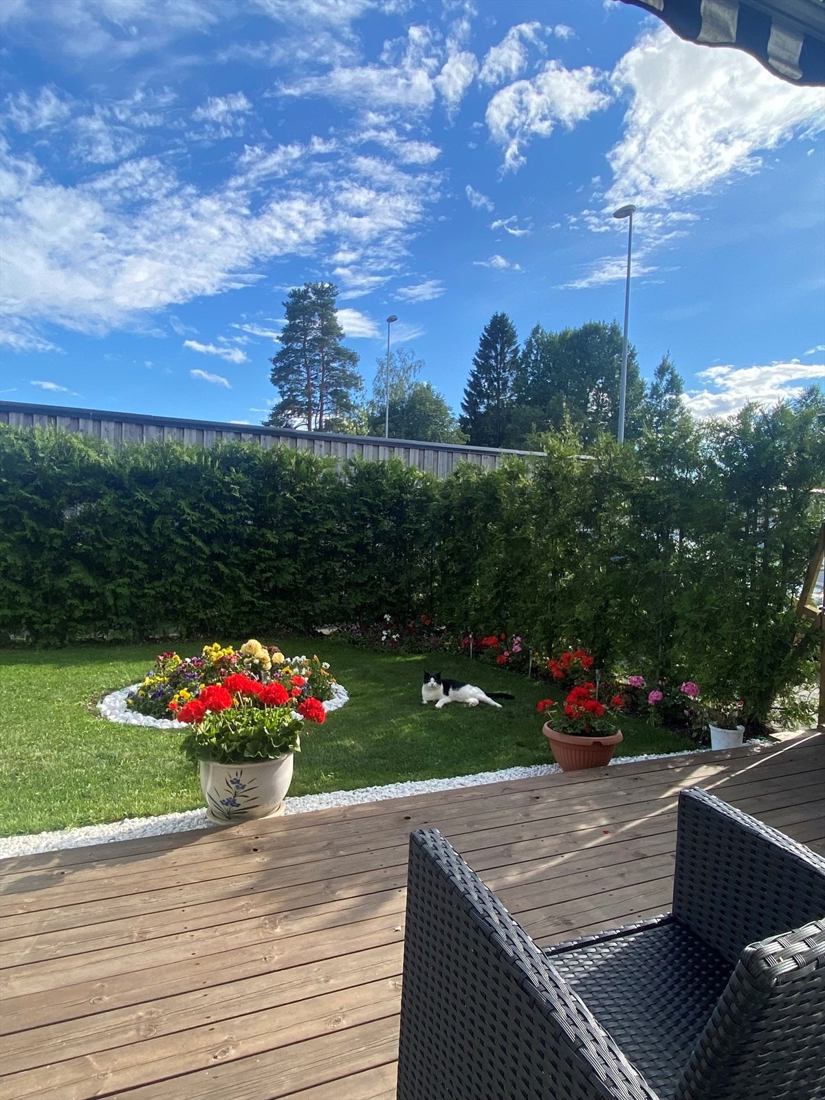 Velkommen til en innbydende terrasse med utsikt over den velstelte hagen. Selgers egne bilder. Galleribilde