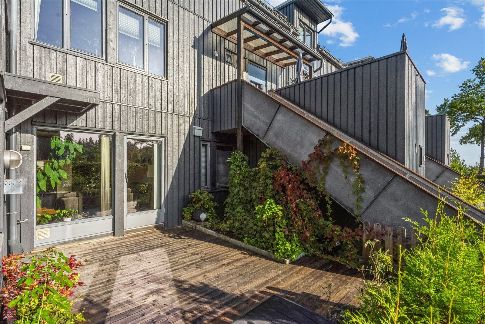 Sommerbilde fra terrasse Galleribilde