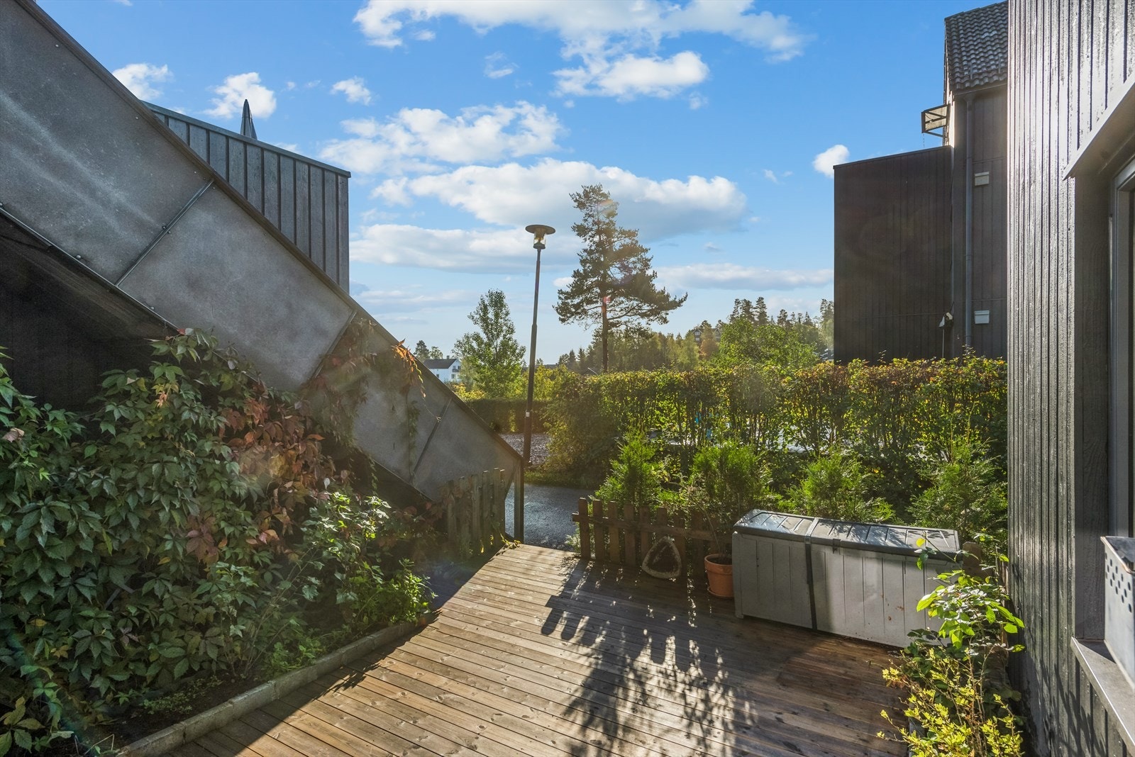 Stor flott terrasse som er opparbeidet med bærbusker og beplantninger Galleribilde