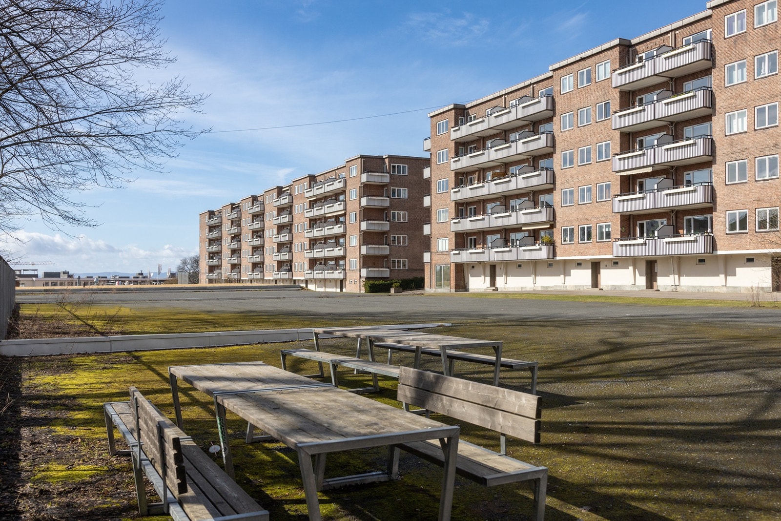 Rundt blokkene er det store fri-arealer og grønne plener Galleribilde