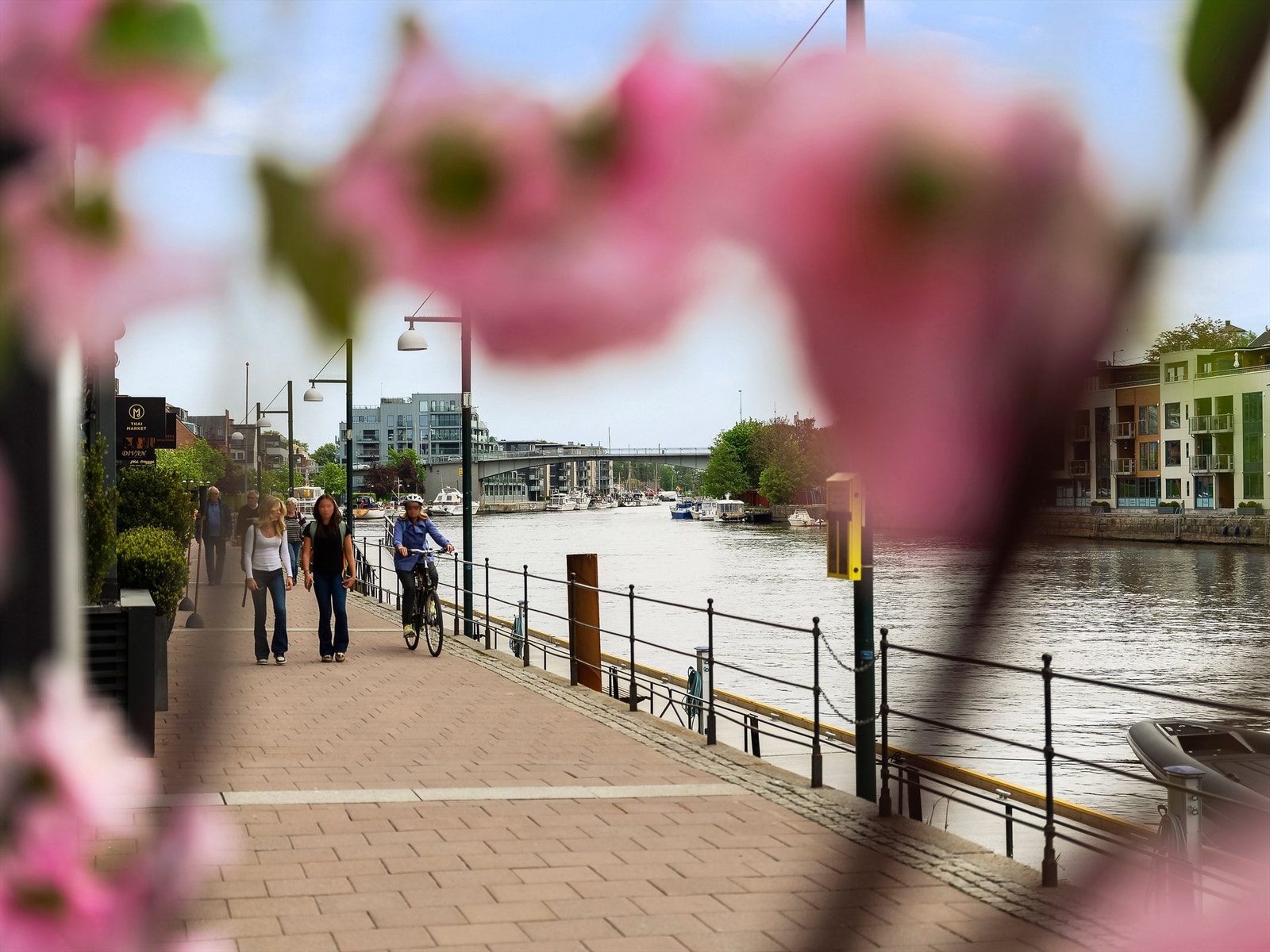 Langs brygga ligger serveringssteder og kulturelle tilbud på rad og rekke - alle lett tilgjengelig fra Agentgaten. Galleribilde