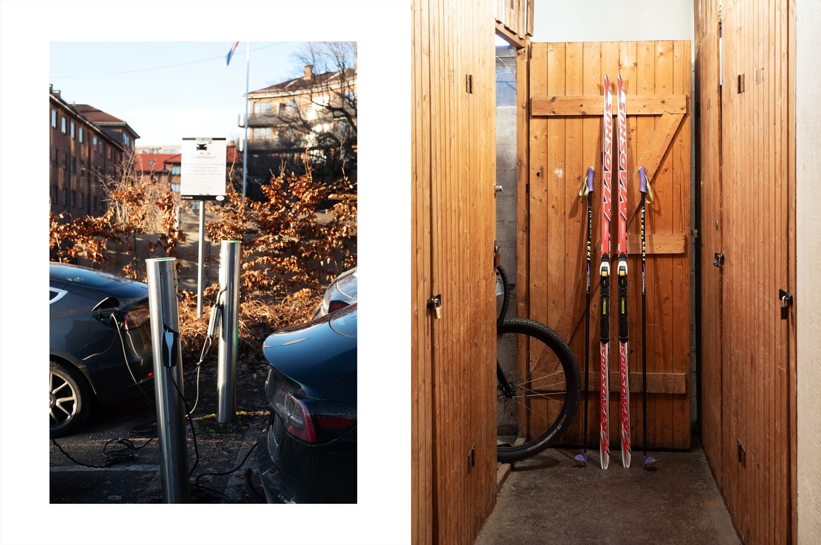 Mellom solsikker og andre planter er det mulighet for lading av el-biler med egne parkeringsplasser i borettslaget. Leiligheten disponerer to boder. Galleribilde