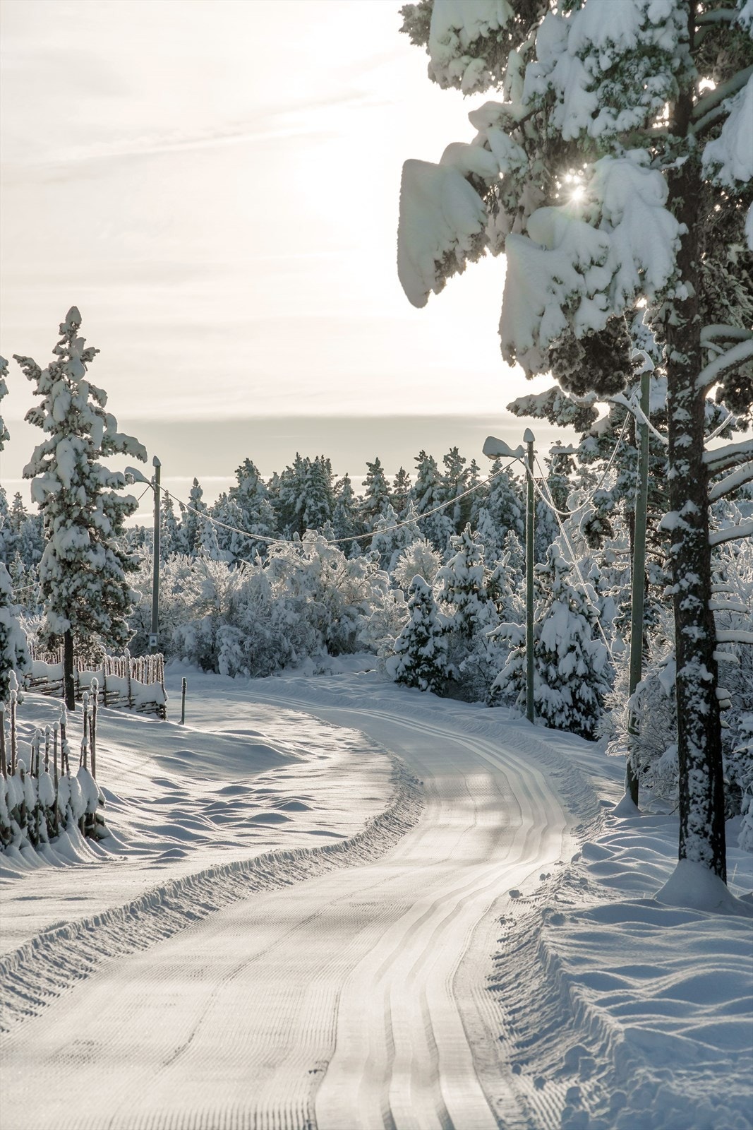 Lysløype på om lag fire kilometer er tilknyttet Sanderstølen. Galleribilde