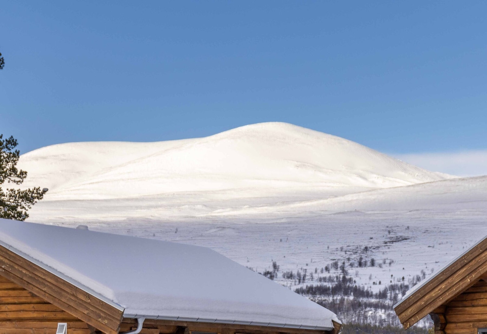 Fra hyttefeltet mot Nautgardsmassivet Galleribilde