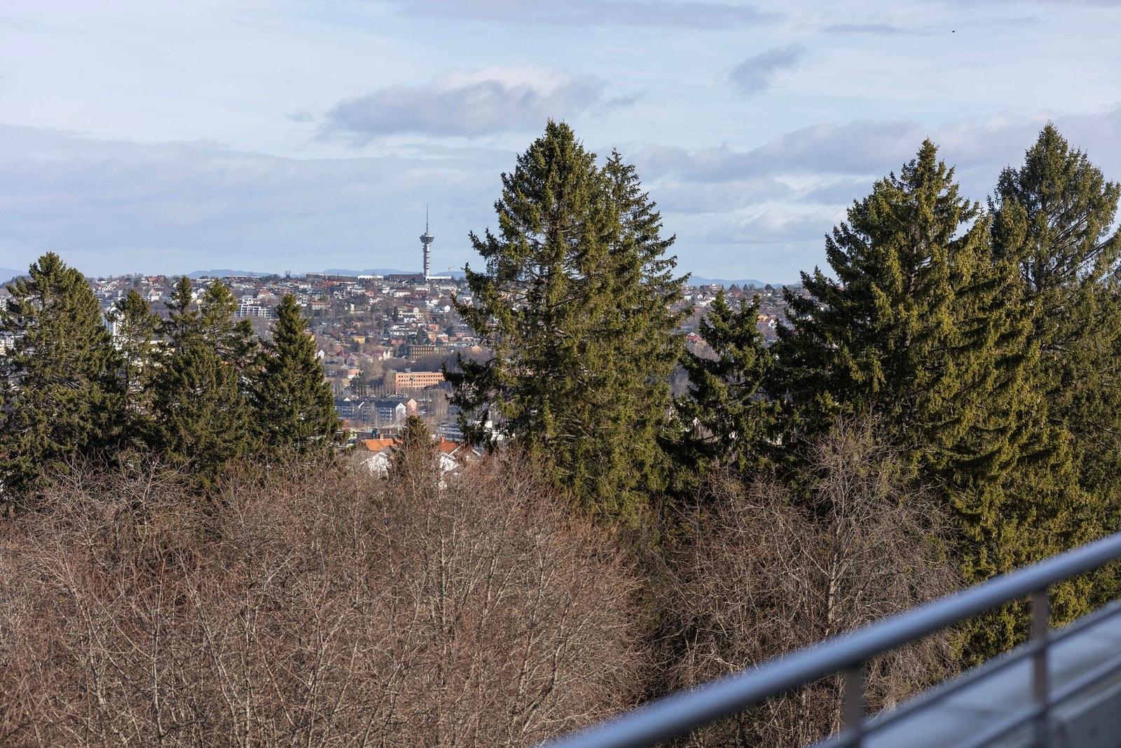 Utsikt fra terrassen Galleribilde