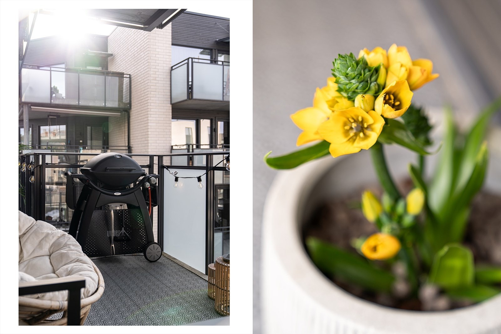 Etter sameiets vedtekter er det tillatt med bruk av eklektisk / gassgrill. Galleribilde