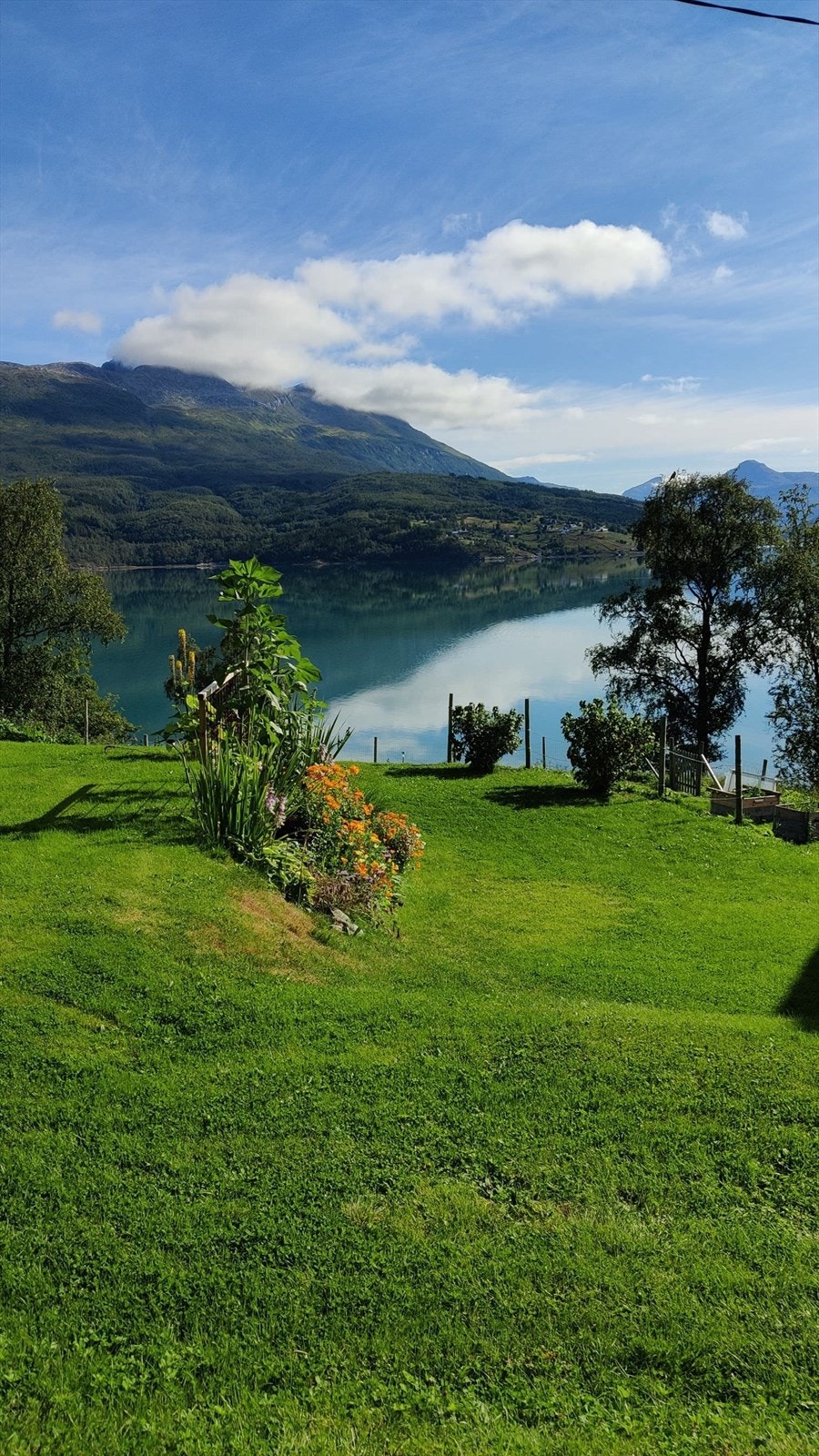 Opparbeidet plen rundt boligen - Privat bilde Galleribilde