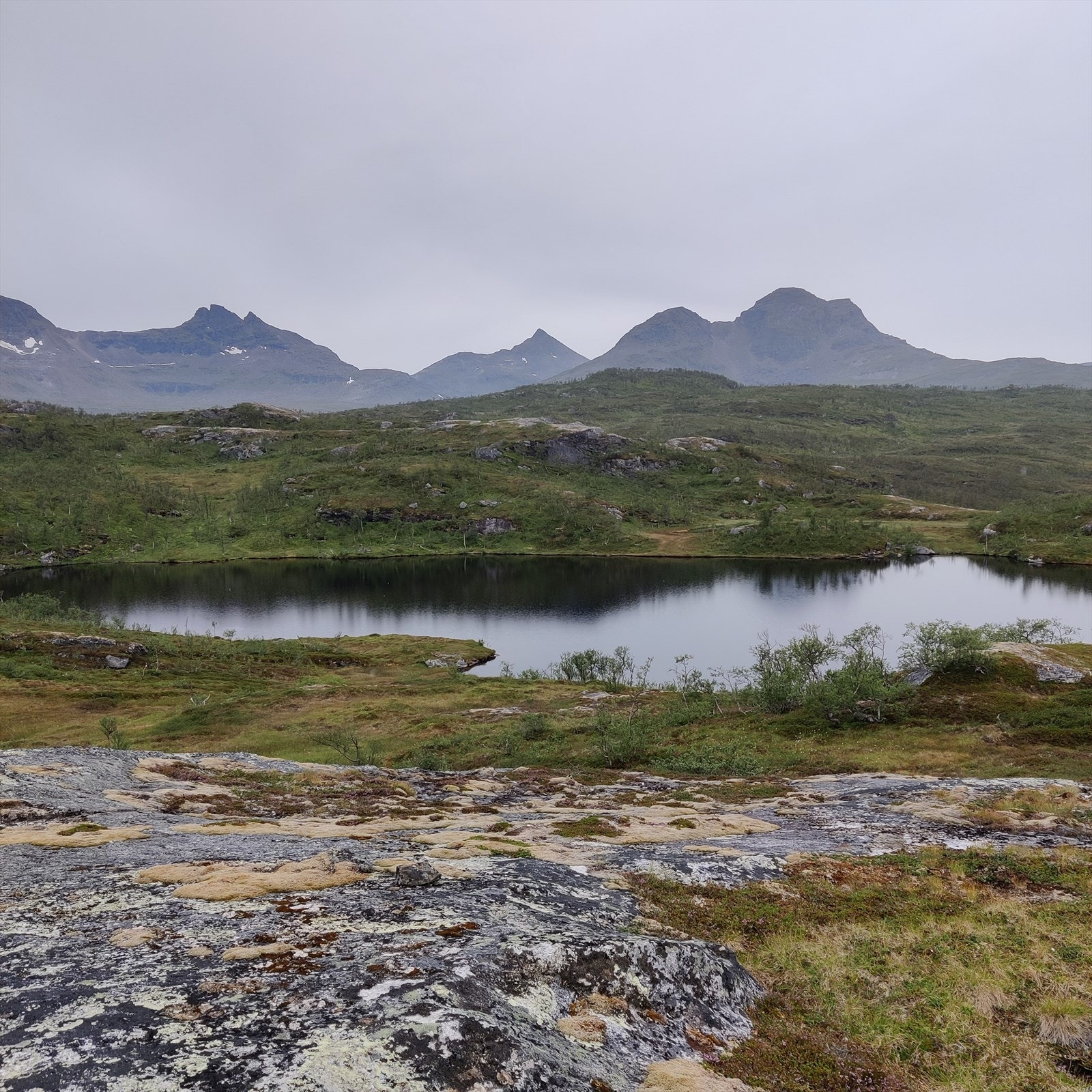 Deler av fiskevann på eiendommen Galleribilde