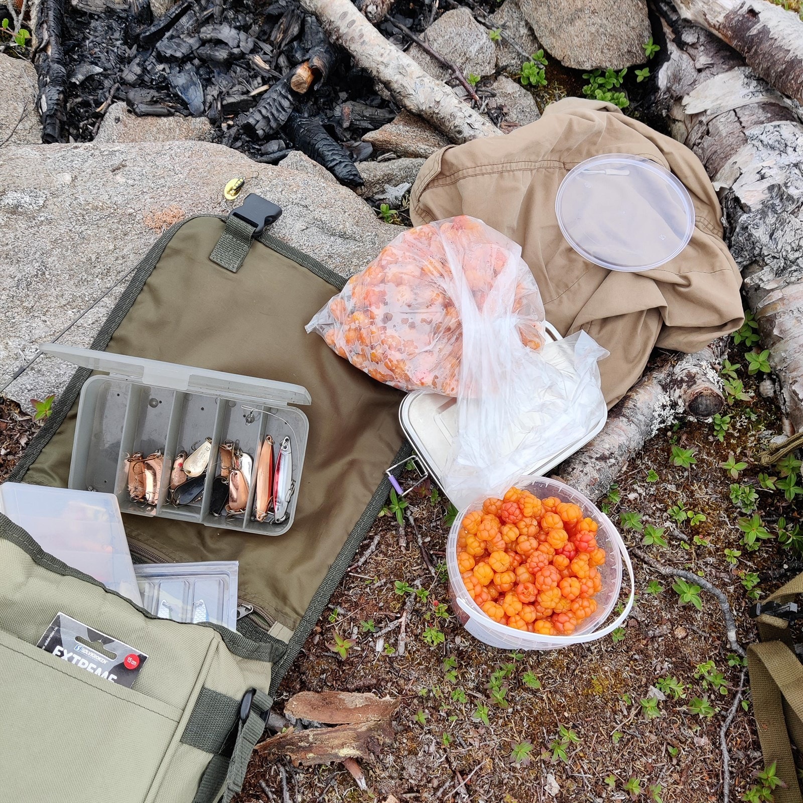 Her er det et flott bærterreng og fiskemuligheter på eiendommen Galleribilde