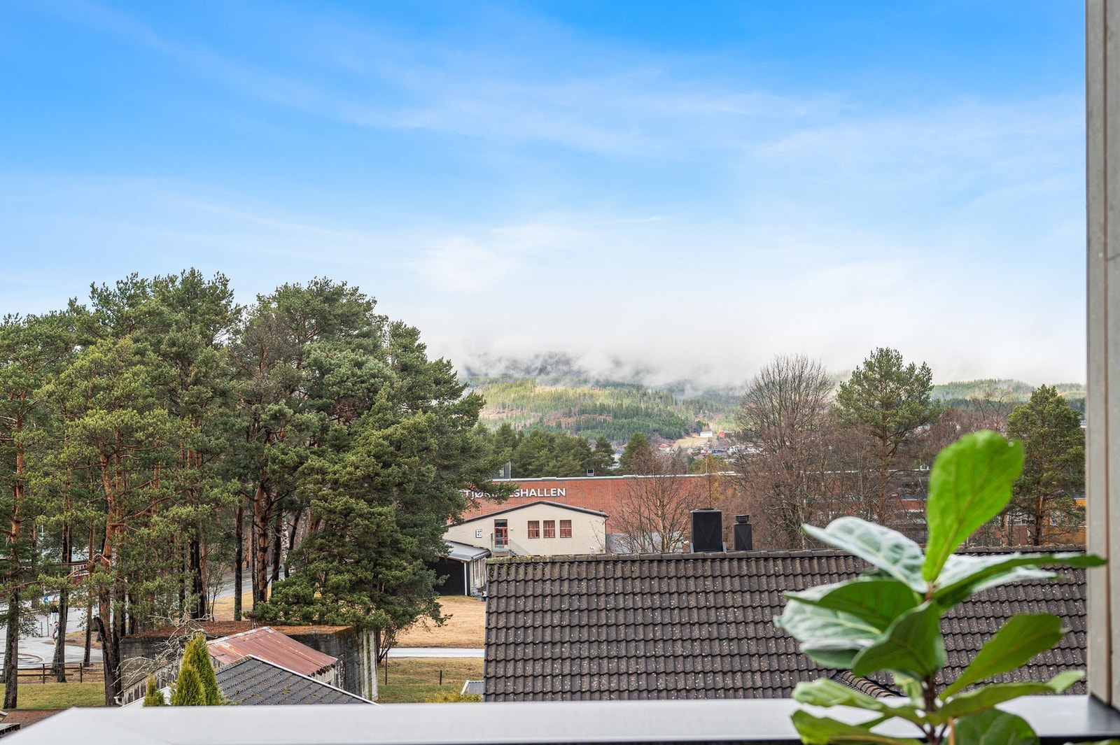 Utsikt fra stue. Galleribilde