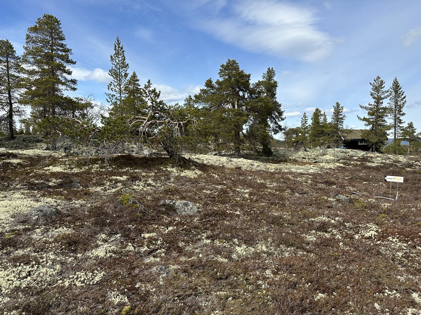 Velkommen til Langaveien 82! Galleribilde