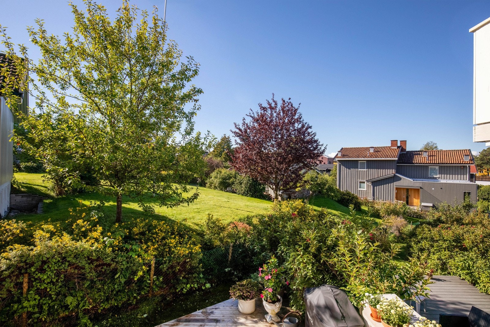 De gode solforholdene gjør det mulig å virkelig nyte varme dager til fulle. Galleribilde