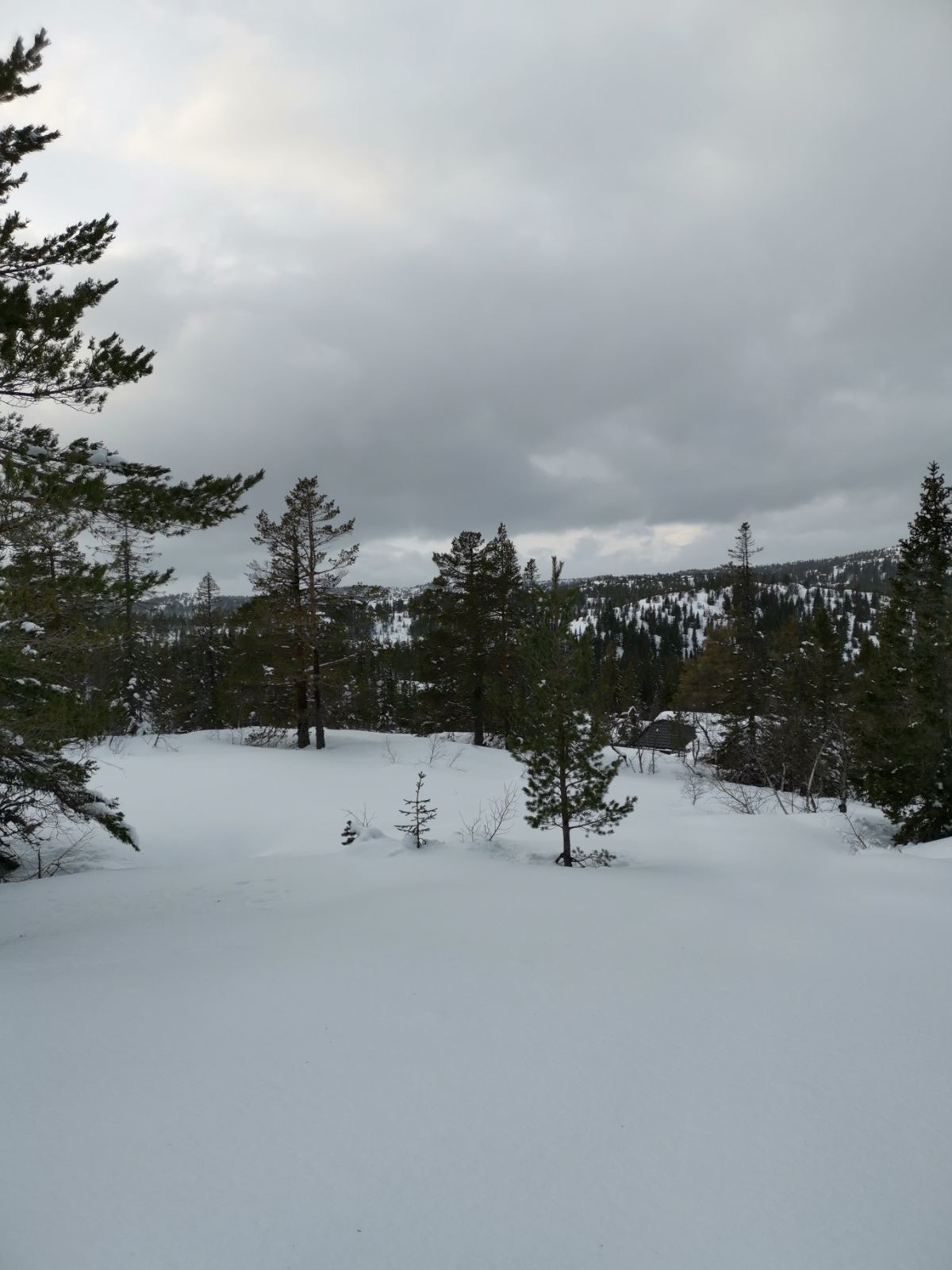 Beliggenheten er skjermet uten noen andre hytter tett innpå i naturskjønne omgivelser med gode solforhold og fin utsikt. Galleribilde