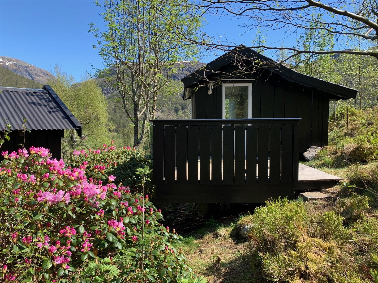 gjestehytte Galleribilde