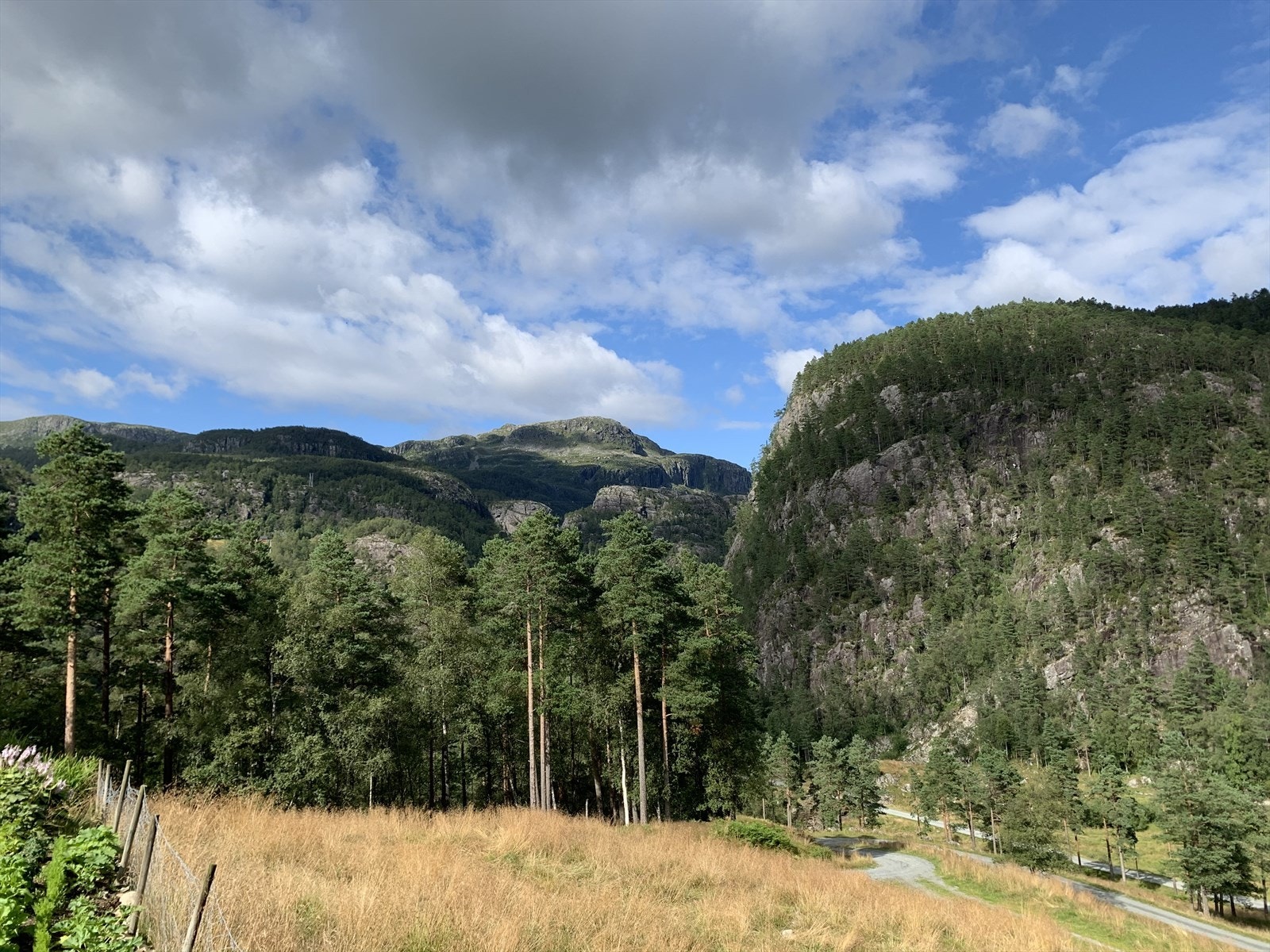 01Fasade_7.jpg Galleribilde