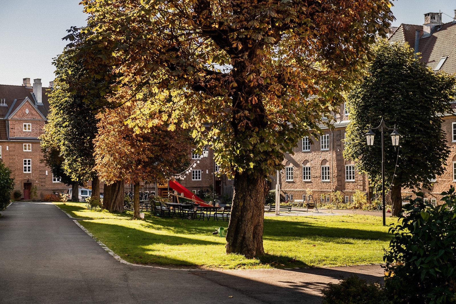 Vakker beplantning og gode solforhold. Galleribilde