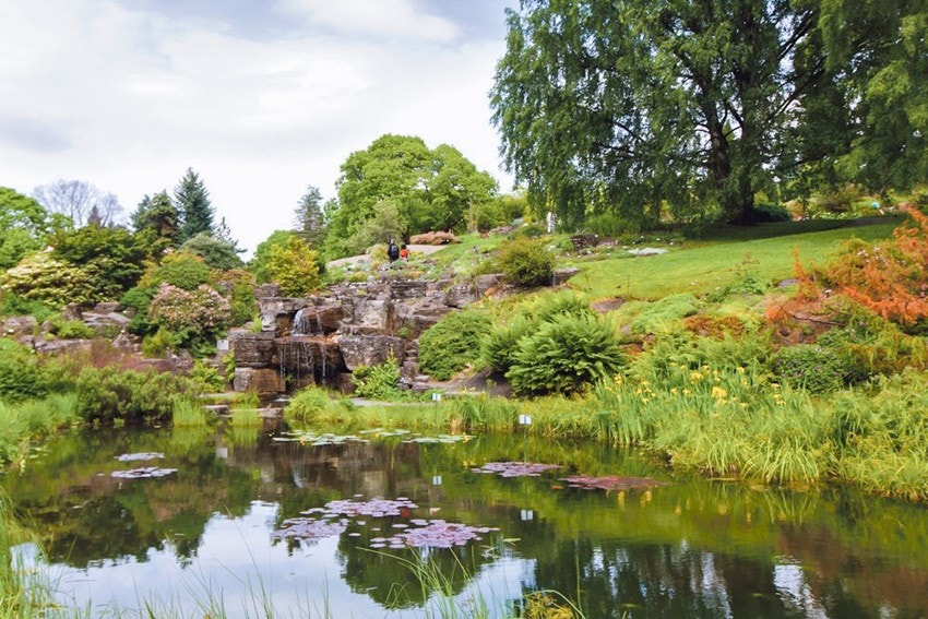 Nærområde: Gangavstand til idylliske Botanisk hage Galleribilde